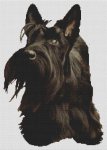 (image for) Scottish Terrier Adoration